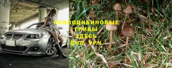гашик Болотное