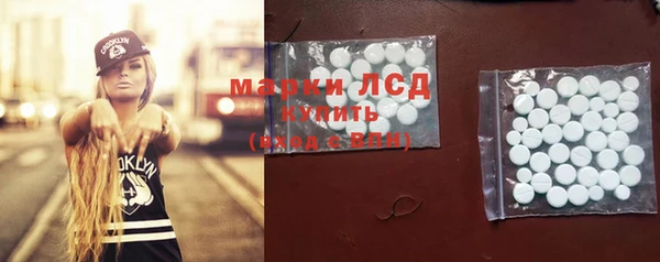 гашик Болотное