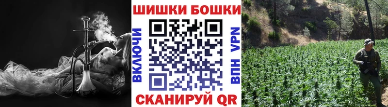 Бошки марихуана конопля  дарнет шоп  Динская 